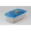 Mini Mushroom Grow Kit