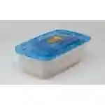 Mini Mushroom Grow Kit
