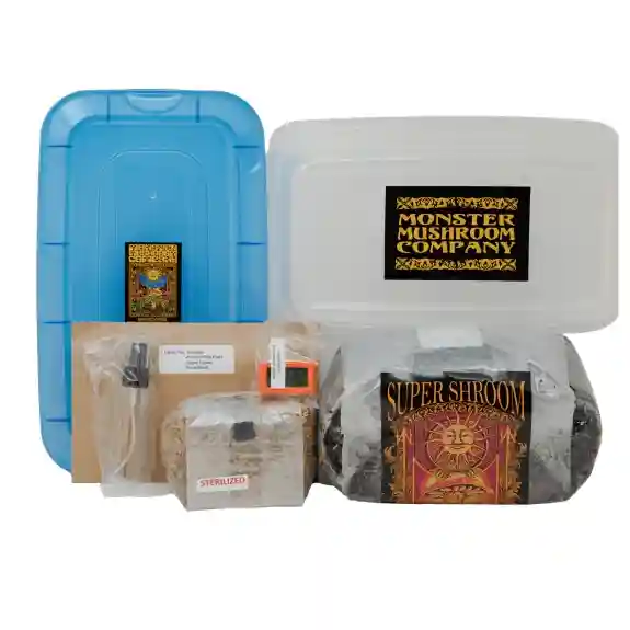 Mini Mushroom Grow Kit